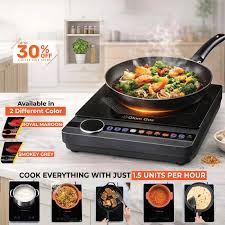 Electric stove